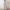 WW | Elegantes Langarm Shirt Und Palazzo Hosen Satz Für Frauen