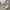 WW | Damenschuhe, Dicke Sohle, Schnürschuhe, Niedrig Top Sneakers, Skate Schuhe