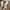 WW | Damenschuhe, Dicke Sohle, Schnürschuhe, Niedrig Top Sneakers, Skate Schuhe