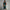 WW |  Stilvoll elegantes Kleid