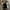 WW | Damen Vintage Bomber Baseballjacke Plus-Size