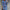 WW | Kleid Langarm Button Up Hemdkleid Minikleid