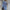 WW | Kleid Langarm Button Up Hemdkleid Minikleid