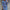WW | Kleid Langarm Button Up Hemdkleid Minikleid