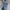 WW | Kleid Langarm Button Up Hemdkleid Minikleid