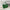 WW | Gewebte Lederhandtasche Mit Modernem Design