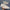 WW | Perforierte Ledersneaker mit Logodetail