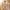 – Die stilvolle und einzigartige Lederjacke