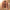 – Die stilvolle und einzigartige Lederjacke