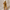 Stilvolle Cordhose