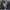 WW - Stilvolle Und Behagliche Winterjacke