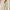 WW | Elegantes Midi Kleid Mit V-ausschnitt