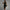 WW | Kleid Ärmellos V-Ausschnitt Knielanges Kleid Cocktailkleid