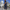 WW | Jumpsuit Begehrter Damenoverall mit Stil