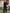 WW | Jumpsuit Weite Beinform Taillengürtel Dreiviertelärmel Elegante Passform