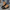 WW | Espadrilles, Flache, Leichte Schuhe Aus Segeltuch