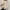 WW | Cropped Hoodie Übergroßer Kapuzenpullover mit Reißverschluss für Frauen