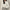 WW | Cropped Hoodie Übergroßer Kapuzenpullover mit Reißverschluss für Frauen