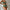 WW | Bikini mit Hohem Taillenband