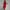 Ärmelloses Kleid mit hoher Taille
