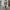 W&W - Mode Hohe Taille Gerade Hose