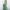 WW | Strapless Maxikleid mit Blumenmuster