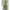 WW | Jumpsuit Eine Schulter Asymmetrisch Flowy Passform Elegante Weite Beine