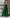 WW | Jumpsuit Eine Schulter Asymmetrisch Flowy Passform Elegante Weite Beine