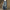 WW | Zuverlässige Jeans