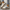 WW | Turnschuhe, Dicke Sohle, Schnürsenkel, Low Top Sneaker, Skate Schuhe