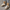 WW | Turnschuhe, Dicke Sohle, Schnürsenkel, Low Top Sneaker, Skate Schuhe