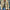 WW | Herren Strickjacke Mit Retro|Revers