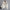 WW | Lederjacke mit Stickerei