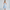 WW | Midi-Kleid Elegant Blau