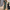 WW | Stilvoller Bedruckter Jumpsuit Mit V-ausschnitt Für Damen
