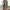 WW gerippte Strickjacke Elegance