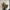 WW - Klassische Baguette-Schultertasche im Vintage-Stil