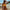 WW - Oranger Bikini mit Ringdetails