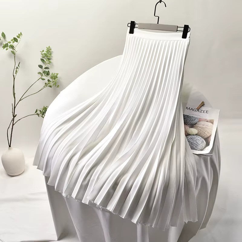 WW | Satin Plissee Rock Hohe Taille