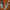 WW | Echte Leder Herren Loafers