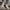 WW | Arbeits Und Sicherheitsschuhe