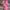 WW | Strickkleid aus Baumwolle und Leinen