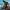 WW | Oranger Bikini Mit Ringdetails