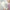 WW Kaninchenwollhandschuhe | Damen handschuhe mit Fell, fingerlos und warm