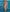WW - Korallenrotes Bikini-Set mit Vichy-Karo
