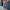 WW - Trendige Lederjacke mit Fransen