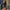 WW - Stylische Bomberjacke