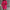 WW Ripped O Neck Oversized Sweater Kleid