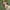 WW - Vintage Kleid mit Schleife