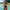 WW - Oranger Bikini mit Ringdetails